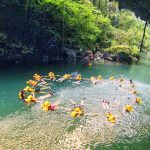 Open Trip Green Canyon Pangandaran