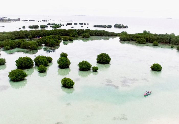 Open Trip Pulau Pari