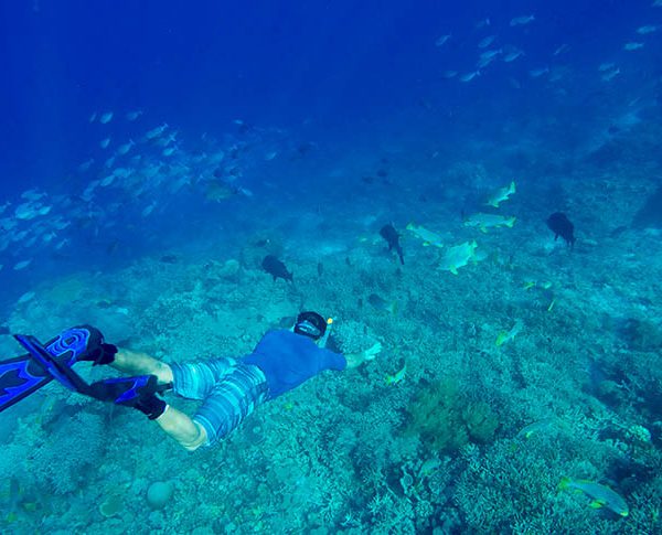 paket wisata pulau menjangan bali barat
