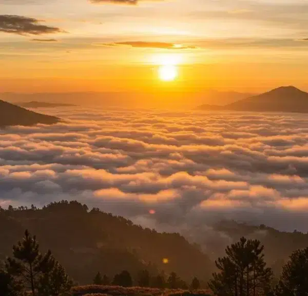 Tips Ampuh Berburu Sunrise di Bukit Sikunir Dieng