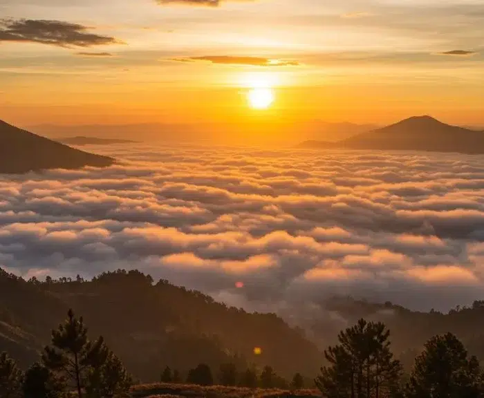 Tips Ampuh Berburu Sunrise di Bukit Sikunir Dieng