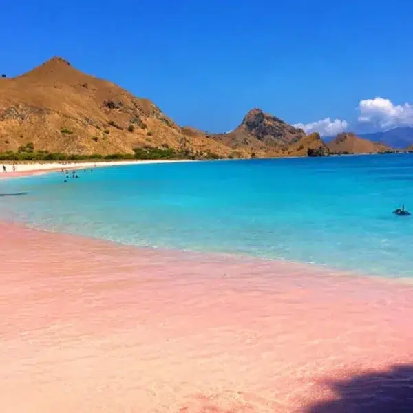 pink beach komodo